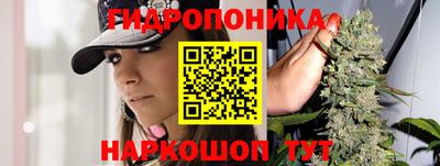 МДПВ Ливны