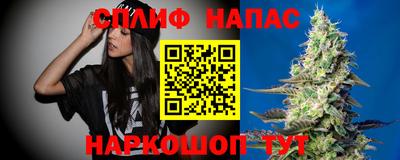 МДПВ Ливны