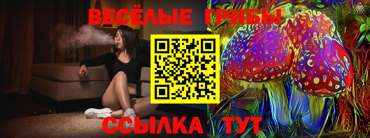 Псилоцибиновые грибы ЛСД Димитровград