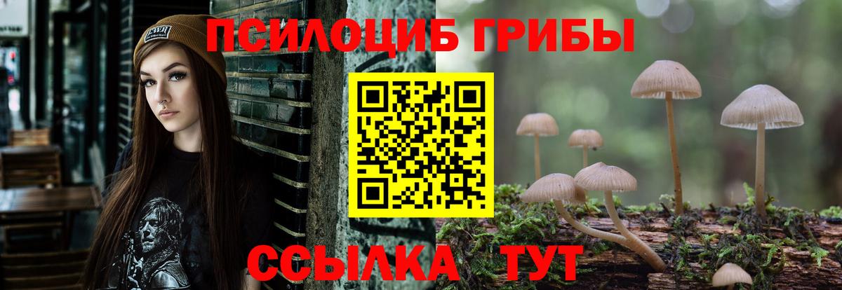 Димитровград  магазин продажи   Вход с VPN  Галлюциногенные грибы Psilocybine cubensis 